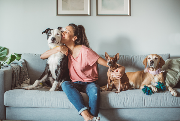 A woman sitting on the couch with her three dogs