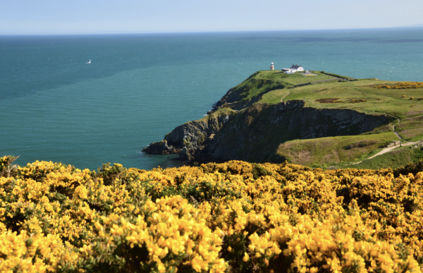 Cliffs in Ireland